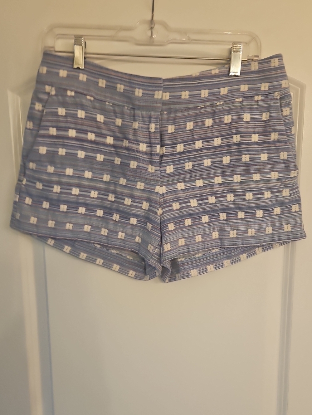 Blue and White Women's Shorts